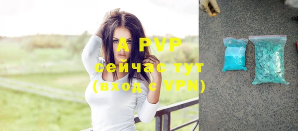 индика Майский