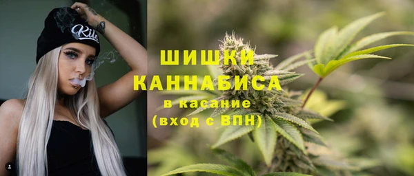 индика Майский