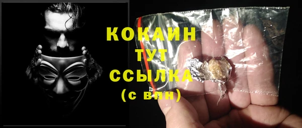 индика Майский