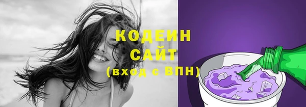 индика Майский