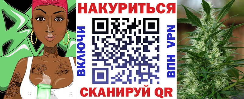Купить  Нахабино  Конопля индика 